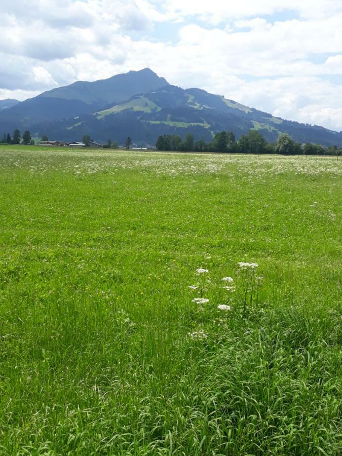 Appartement Muellner Kirchdorf in Tirol Luaran gambar